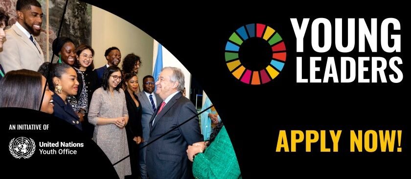 Young Leaders for the SDGs Programme