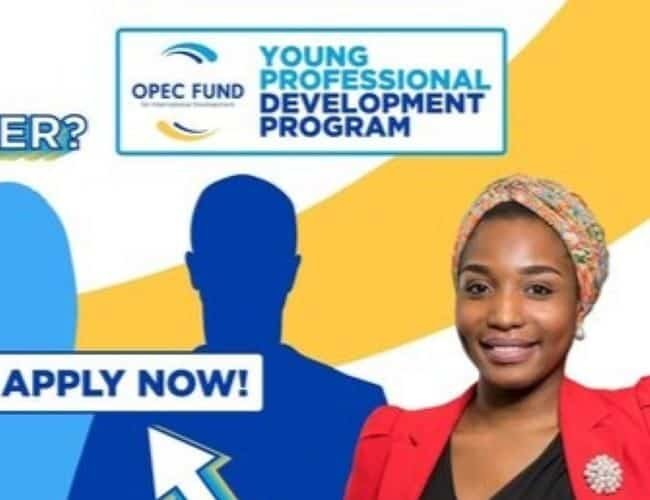 Young Professional Development Program