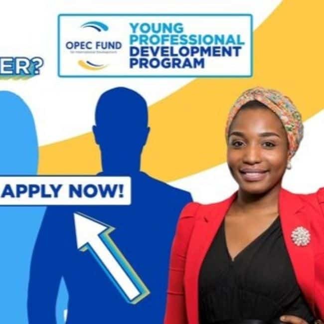 Young Professional Development Program