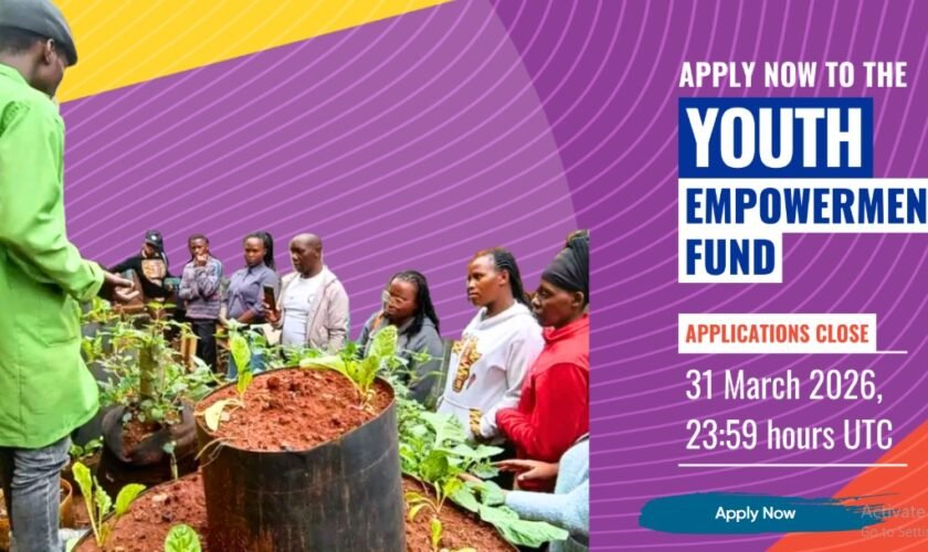 Youth Empowerment Fund