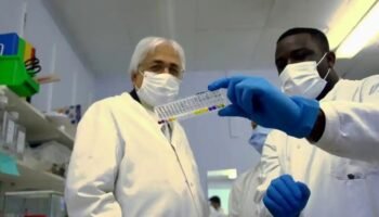 AREF Research Development Fellowship Programme