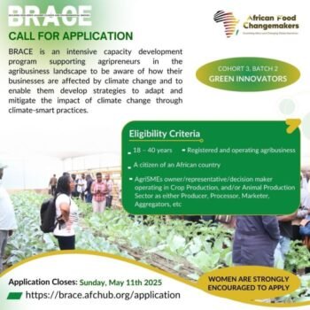 BRACE Program