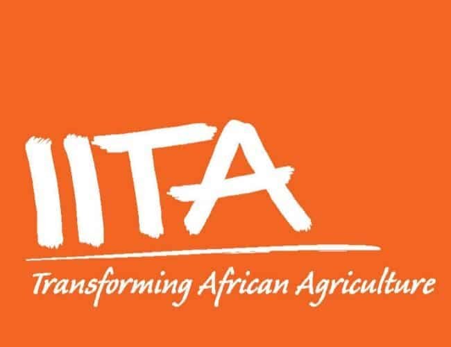 IITA Graduate Internship Program 2025