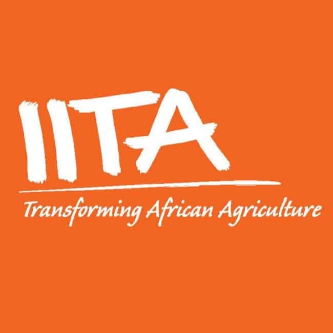 IITA Graduate Internship Program 2025