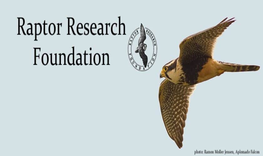 Leslie Brown Research Grant
