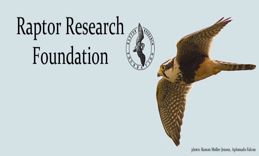 Leslie Brown Research Grant