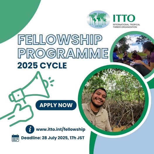ITTO Fellowship