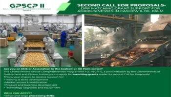 GPSCP II: DPP Matching Grant Program