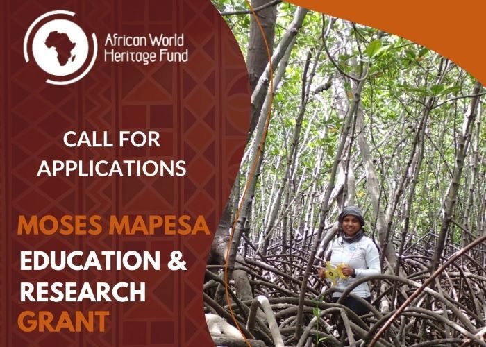 Moses Mapesa Education and Research Grant
