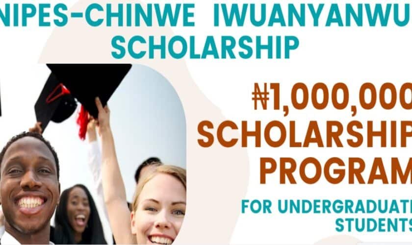 NIPES - Chinwe Foundation Scholarship
