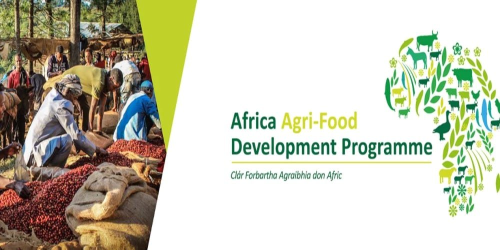 Africa Agri-food Development Programme (AADP)