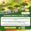Sahara Impact Fund