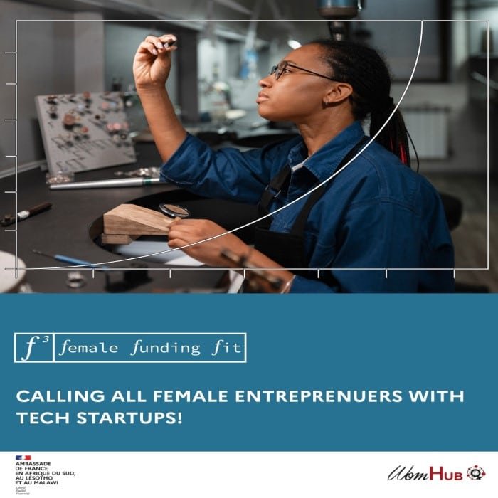 WomHub Female Funding Fit Program