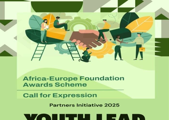 Africa-Europe Foundation Youth Awards Scheme