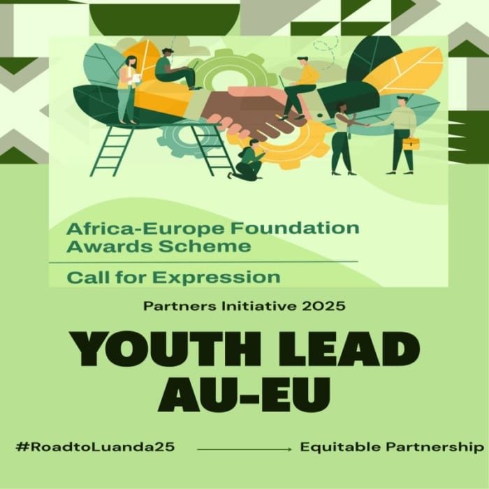 Africa-Europe Foundation Youth Awards Scheme