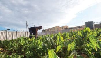 CJIFA Community Empowerment Grant Program