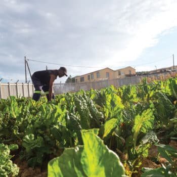 CJIFA Community Empowerment Grant Program