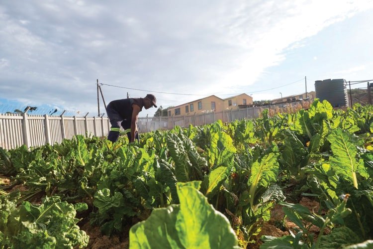 CJIFA Community Empowerment Grant Program