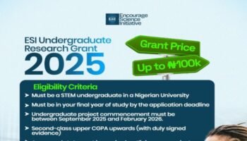 ESI Undergraduate Research Grant