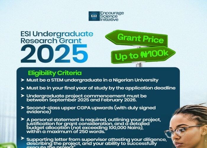 ESI Undergraduate Research Grant