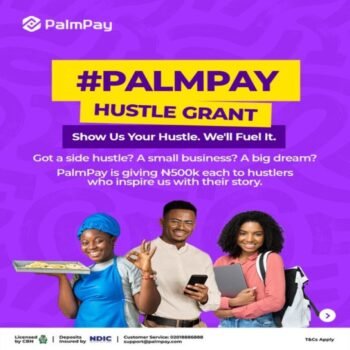 PalmPay Hustle Grant