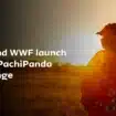 Africa PachiPanda Challenge