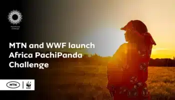Africa PachiPanda Challenge