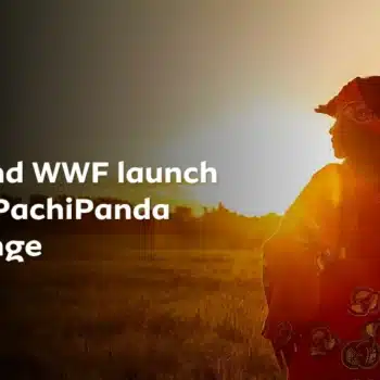 Africa PachiPanda Challenge
