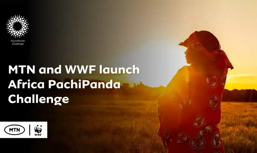 Africa PachiPanda Challenge