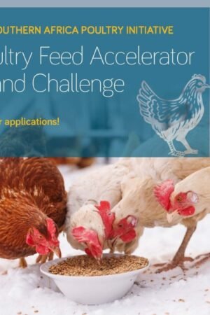 SAPI Poultry Feed Accelerator Grand Challenge