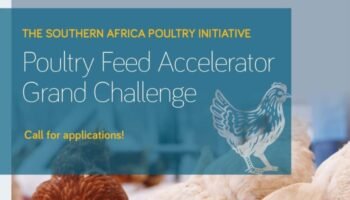 SAPI Poultry Feed Accelerator Grand Challenge