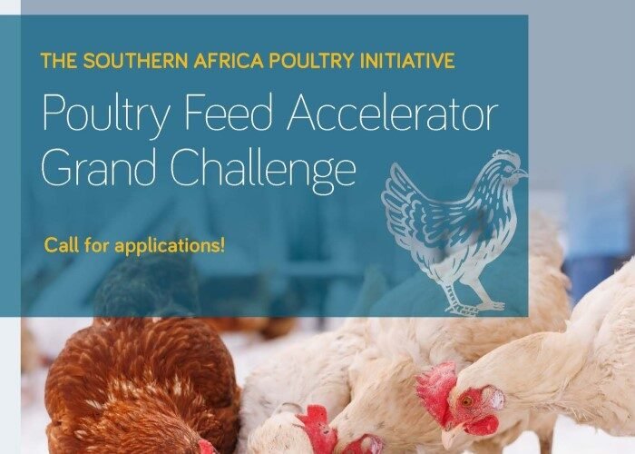 SAPI Poultry Feed Accelerator Grand Challenge