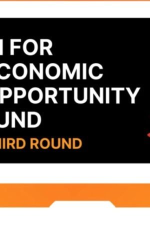 AI for Economic Opportunity Fund