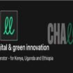 Digital and Green Innovation Acceleration Programme