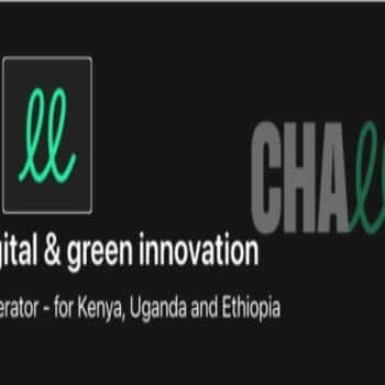 Digital and Green Innovation Acceleration Programme