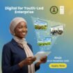 UNDP Nigeria Digital for Youth-Led Enterprise