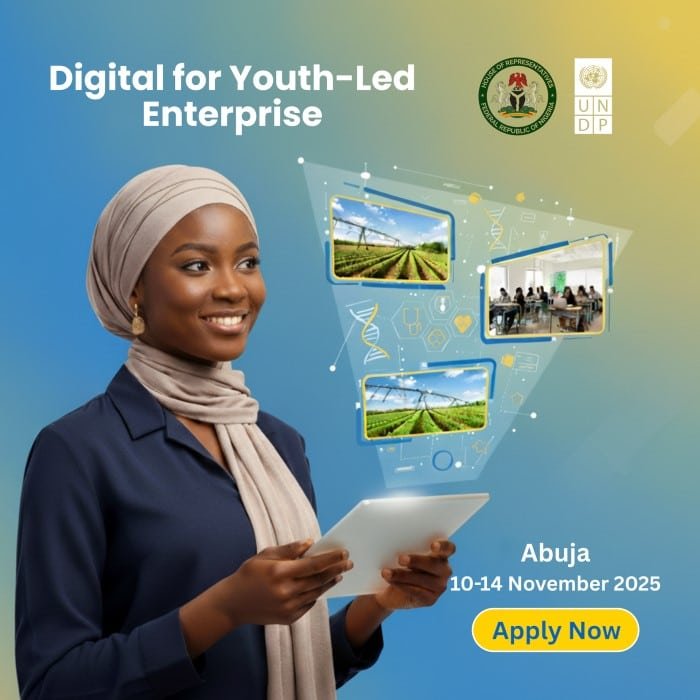 UNDP Nigeria Digital for Youth-Led Enterprise