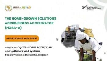 Home-Grown Solutions Agribusiness Accelerator