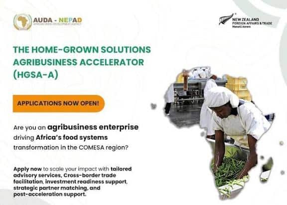 Home-Grown Solutions Agribusiness Accelerator