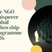 The NGO Whisperer® Global Fellowship Programme