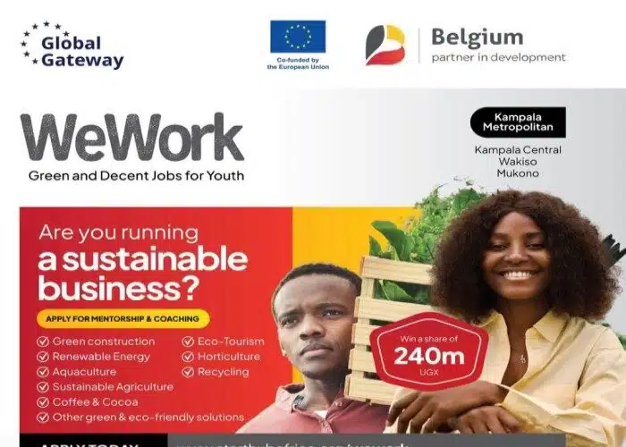 WeWork Green and Decent Jobs for Youth Program