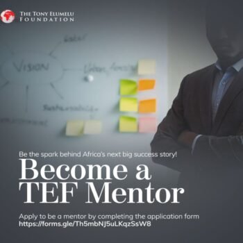 TEF Mentors