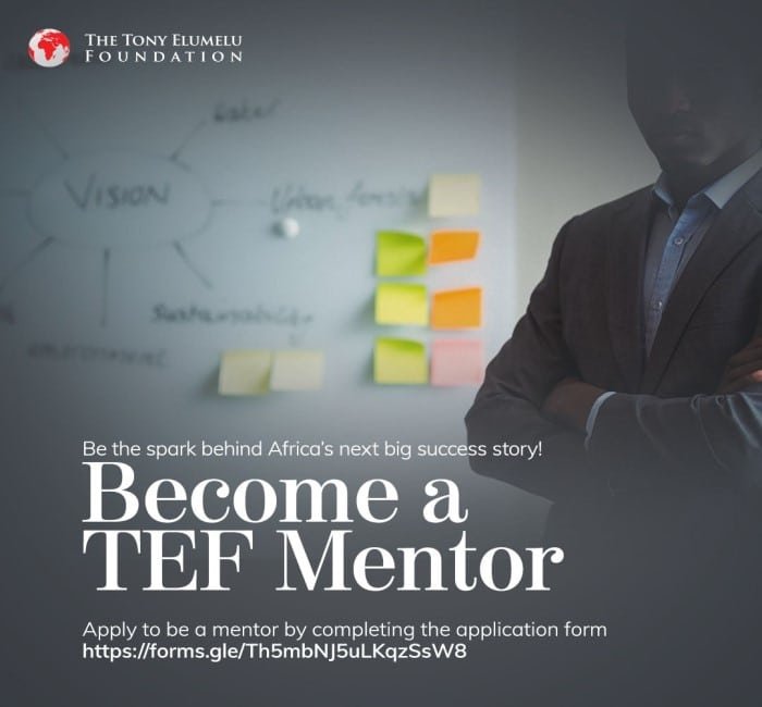 TEF Mentors