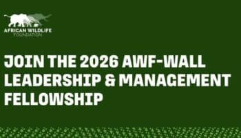 AWF-Wall Leadership & Management Fellowship