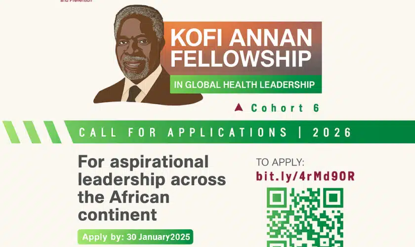 Kofi Annan Fellowship