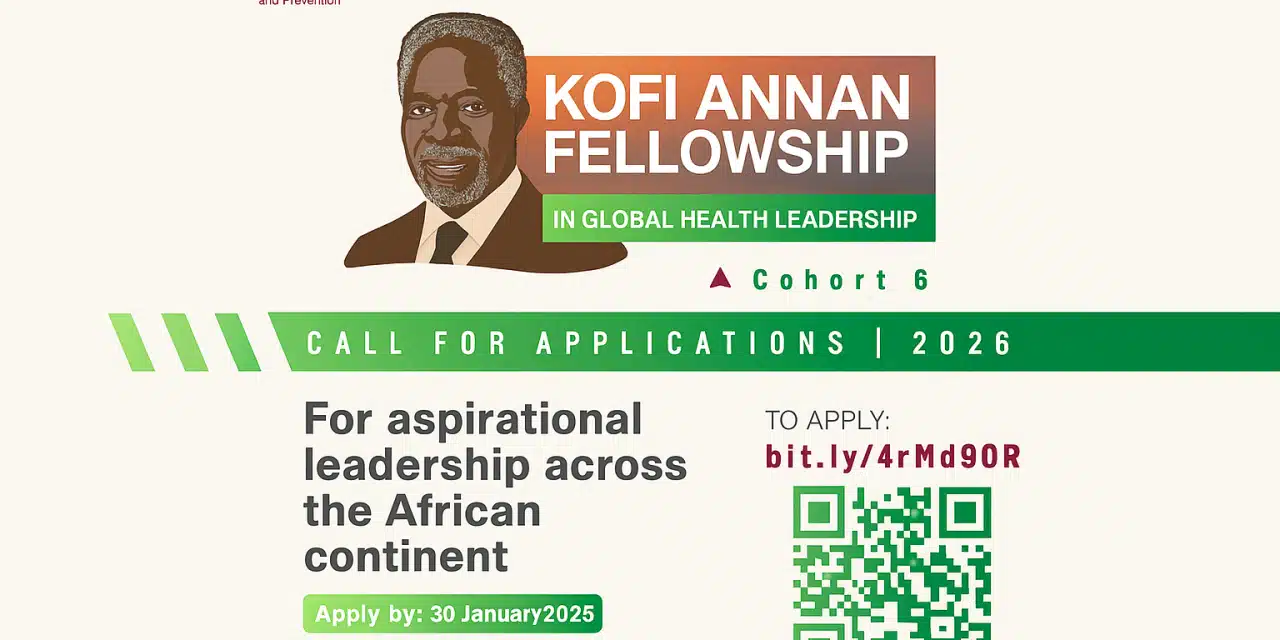 Kofi Annan Fellowship