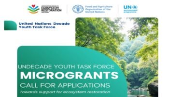 UN Decade Youth Task Force Microgrants