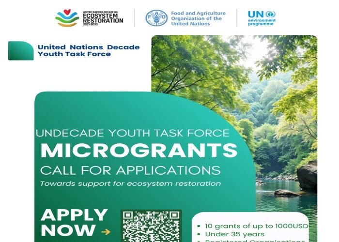 UN Decade Youth Task Force Microgrants