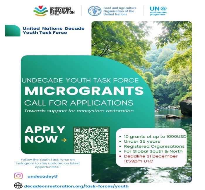 UN Decade Youth Task Force Microgrants