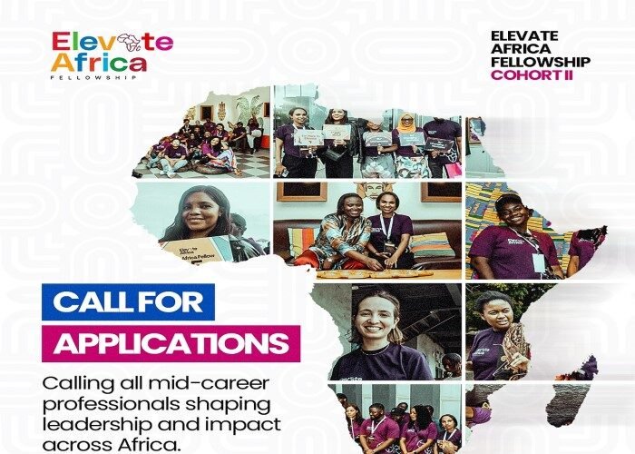  Elevate Africa Fellowship